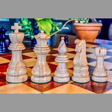 Chess Closeup White with plants Chess Closeup White with plants