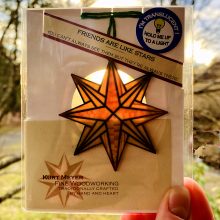 Translucent Star in sunshine Translucent Star in sunshine